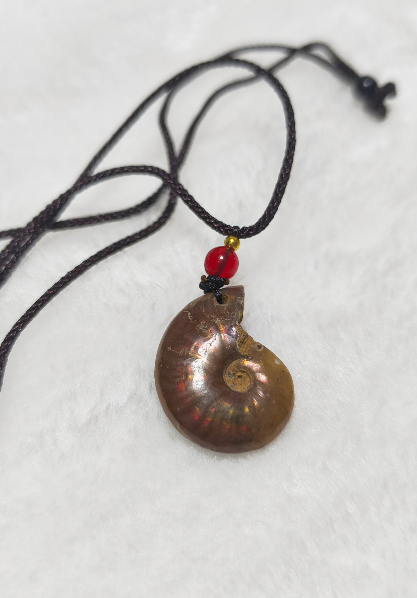 Ammonite necklace